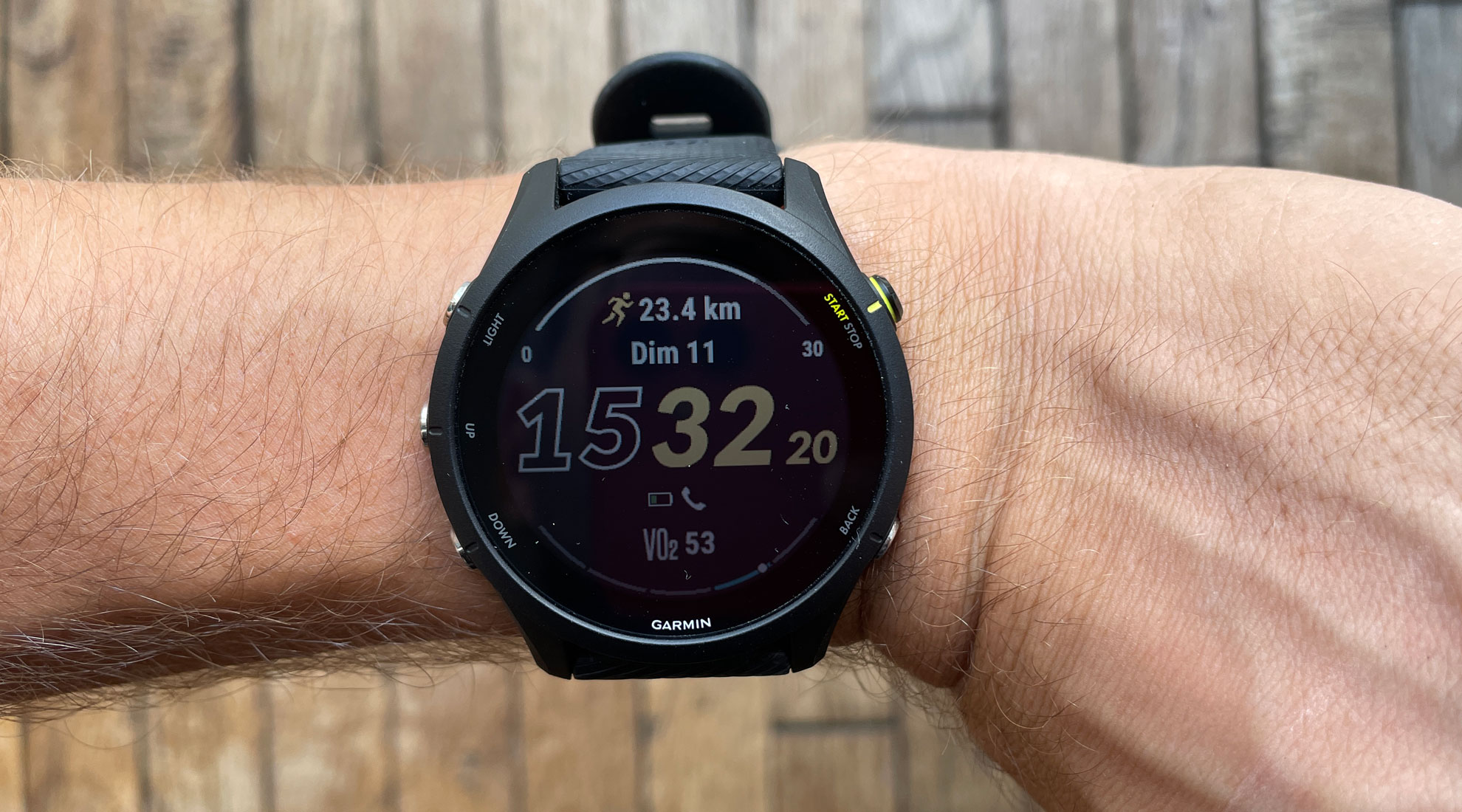 Garmin Forerunner 255