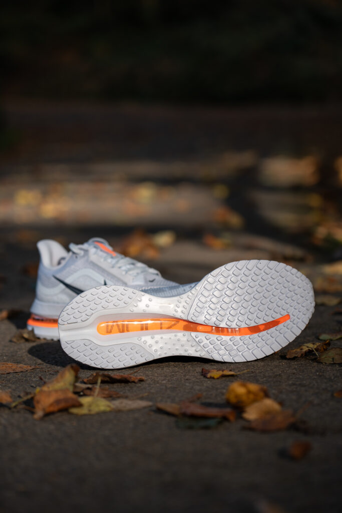 Pegasus Premium Nike