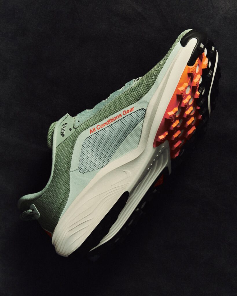 Nike Pegasus Trail ACG