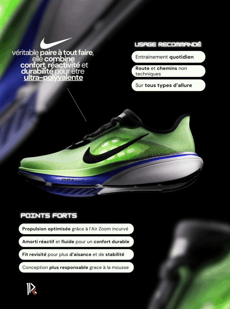 Nike Pegasus 42 decrypted